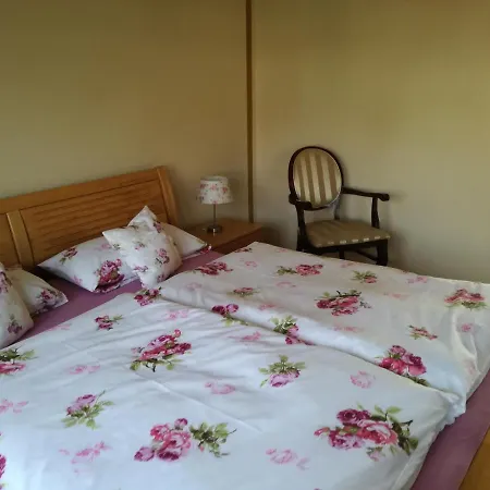 Bella Casa Διαμέρισμα Laufenburg